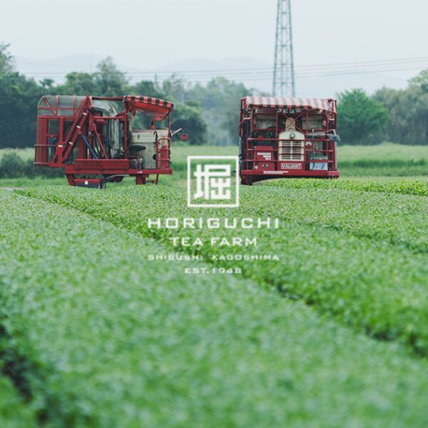 視察希望のお申し込み | 鹿児島堀口製茶公式サイト